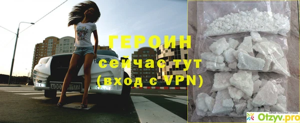 прущие грибы Гусиноозёрск