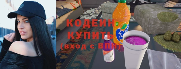 ECSTASY Алзамай
