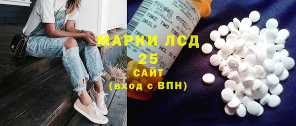 ECSTASY Алзамай