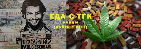 ECSTASY Алзамай
