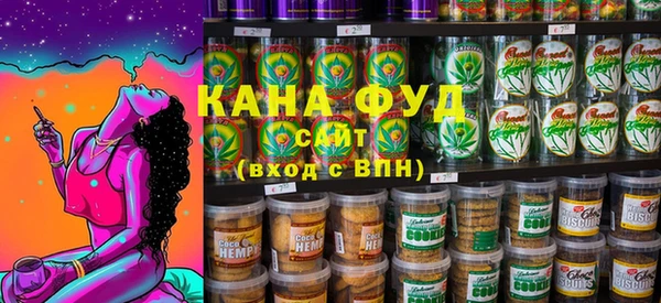 ECSTASY Алзамай