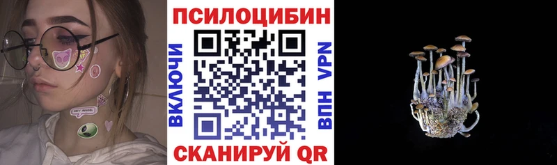 hydra ONION  Себеж  Галлюциногенные грибы Psilocybe 